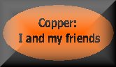 Copper: I and my friends